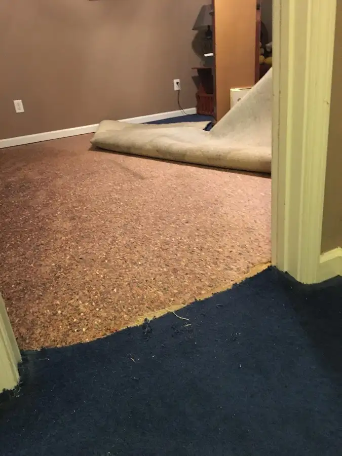 Carpet pad removal revealing water damage during Drying & Dehumidification in Somers